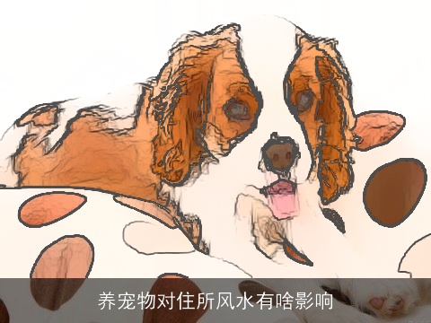 养宠物对住所风水有啥影响