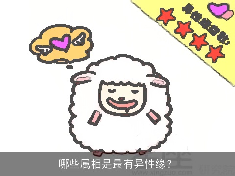 哪些属相是最有异性缘？