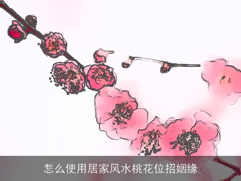 怎么使用居家风水桃花位招姻缘