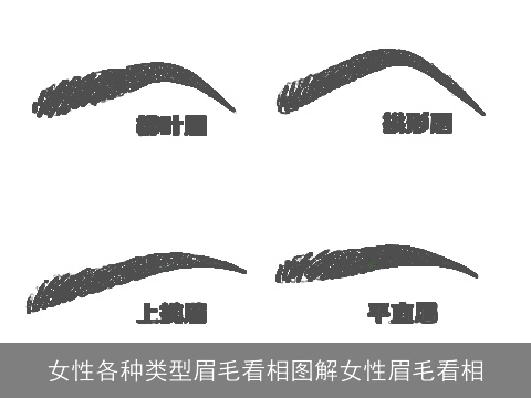 女性各种类型眉毛看相图解女性眉毛看相