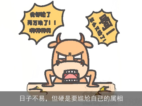 日子不易，但硬是要尴尬自己的属相