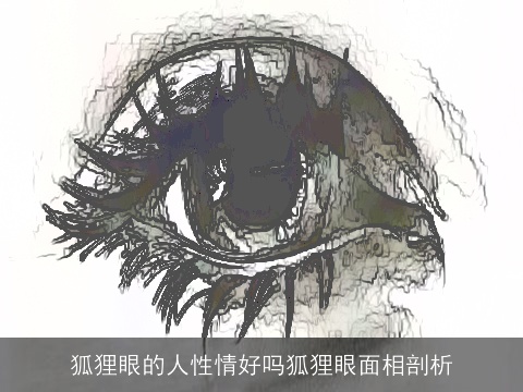狐狸眼的人性情好吗狐狸眼面相剖析