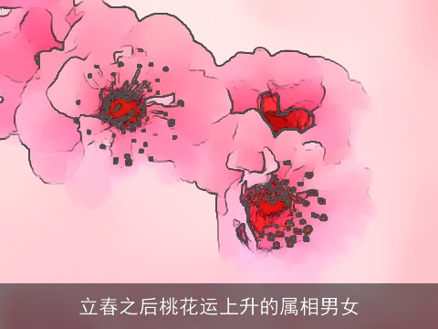 立春之后桃花运上升的属相男女