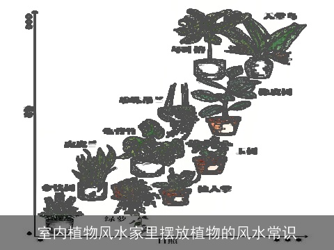 室内植物风水家里摆放植物的风水常识