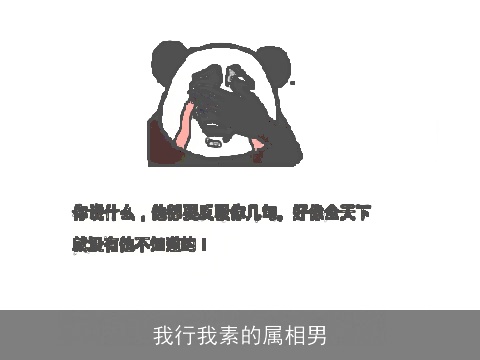 我行我素的属相男