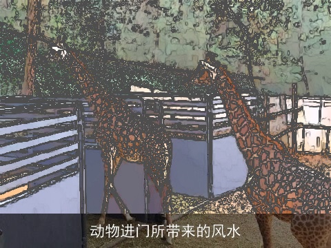 动物进门所带来的风水