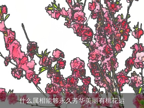 什么属相能够永久芳华美丽有桃花运