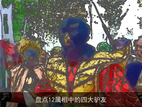 盘点12属相中的四大驴友