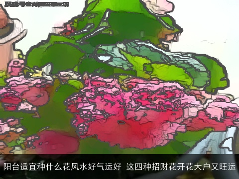 阳台适宜种什么花风水好气运好 这四种招财花开花大户又旺运