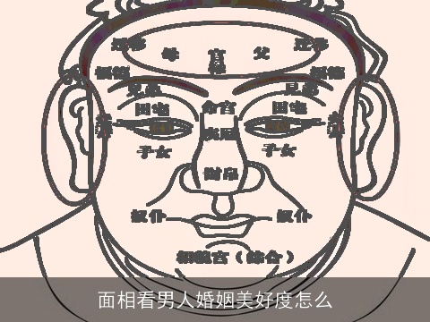 面相看男人婚姻美好度怎么