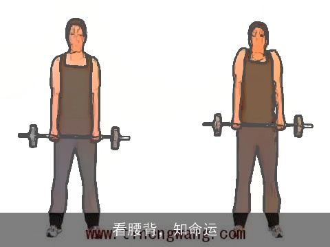 看腰背，知命运