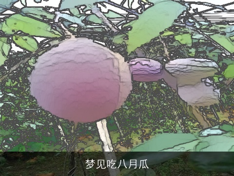 梦见吃八月瓜
