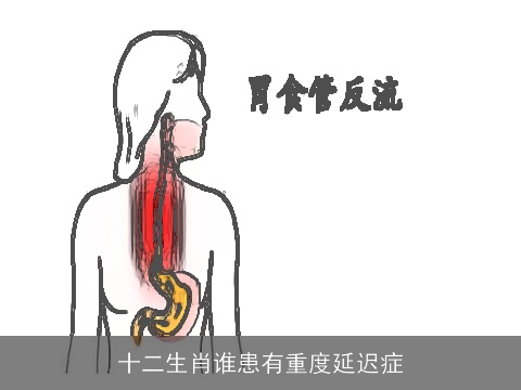 十二生肖谁患有重度延迟症