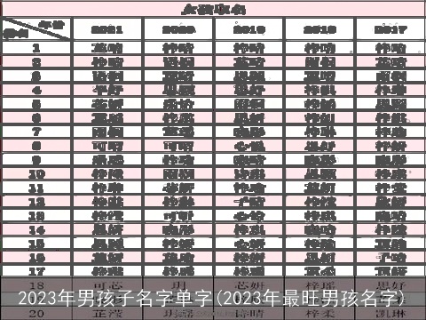2023年男孩子名字单字(2023年最旺男孩名字)