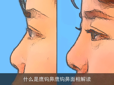 什么是鹰钩鼻鹰钩鼻面相解读