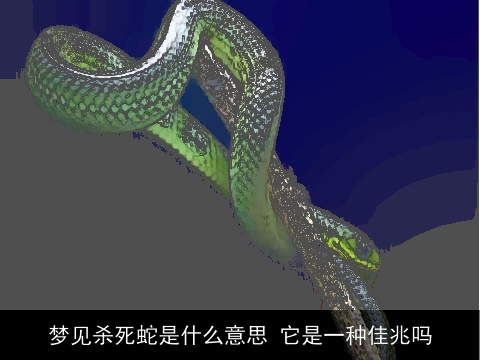 梦见杀死蛇是什么意思 它是一种佳兆吗