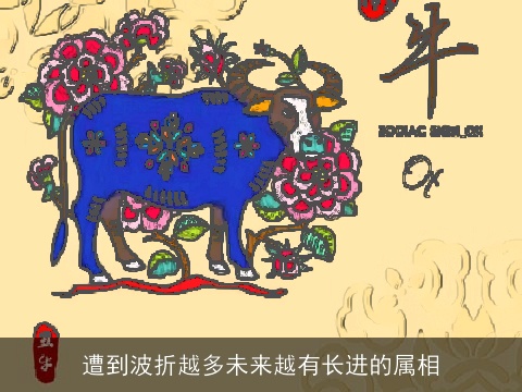 遭到波折越多未来越有长进的属相