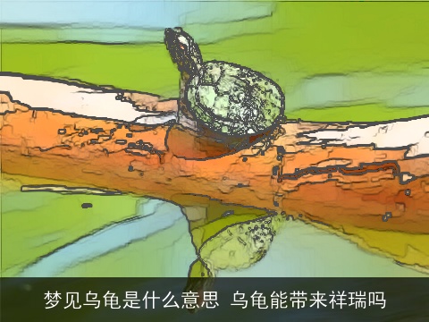 梦见乌龟是什么意思 乌龟能带来祥瑞吗