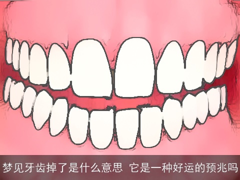 梦见牙齿掉了是什么意思 它是一种好运的预兆吗