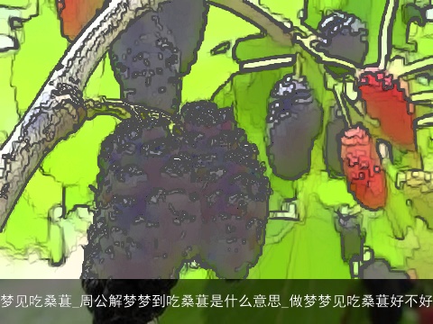 梦见吃桑葚_周公解梦梦到吃桑葚是什么意思_做梦梦见吃桑葚好不好