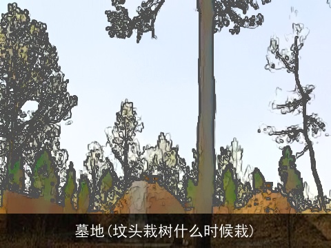 墓地(坟头栽树什么时候栽)