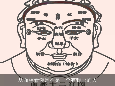 从面相看你是不是一个有野心的人