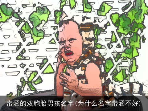 带涵的双胞胎男孩名字(为什么名字带涵不好)