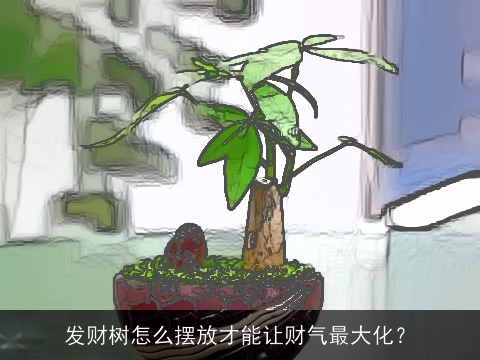 发财树怎么摆放才能让财气最大化？