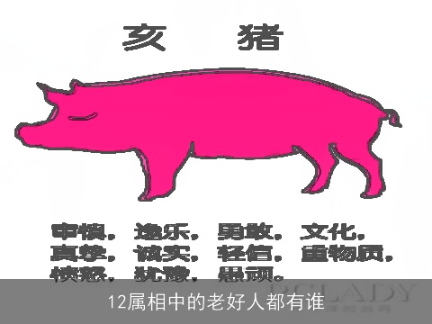12属相中的老好人都有谁