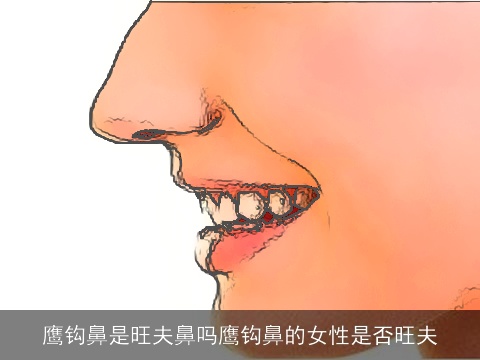 鹰钩鼻是旺夫鼻吗鹰钩鼻的女性是否旺夫