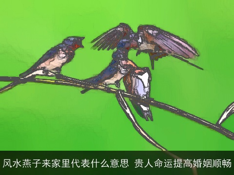 风水燕子来家里代表什么意思 贵人命运提高婚姻顺畅