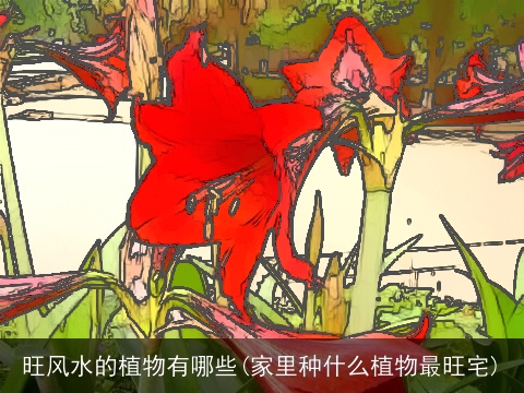 旺风水的植物有哪些(家里种什么植物最旺宅)