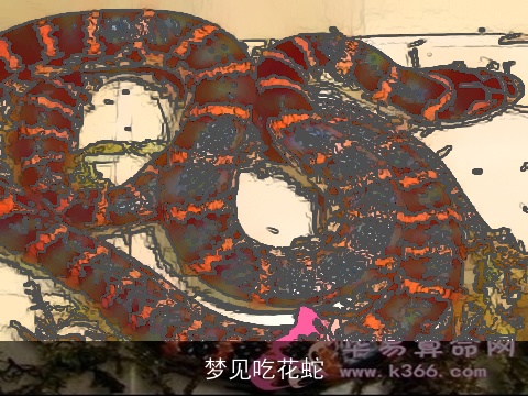 梦见吃花蛇