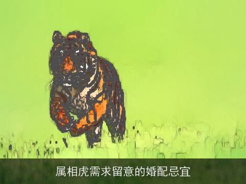 属相虎需求留意的婚配忌宜