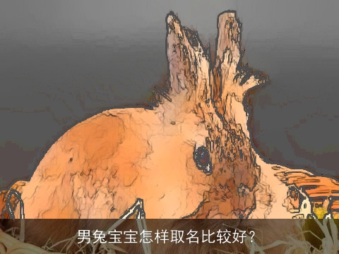 男兔宝宝怎样取名比较好？