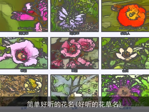 简单好听的花名(好听的花草名)