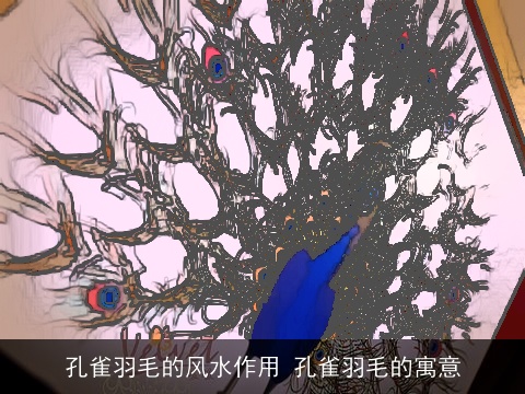 孔雀羽毛的风水作用 孔雀羽毛的寓意