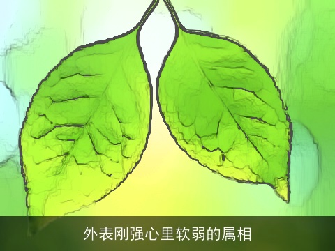 外表刚强心里软弱的属相