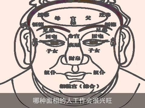 哪种面相的人工作会很兴旺