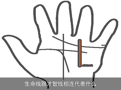 生命线跟才智线相连代表什么