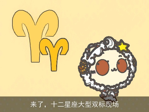 来了，十二星座大型双标现场