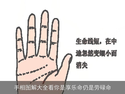 手相图解大全看你是享乐命仍是劳碌命