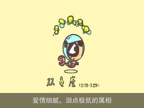 爱情细腻，泪点极低的属相