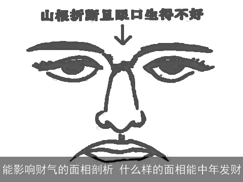 能影响财气的面相剖析 什么样的面相能中年发财