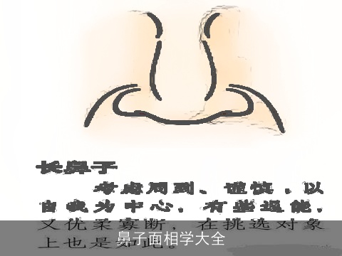 鼻子面相学大全