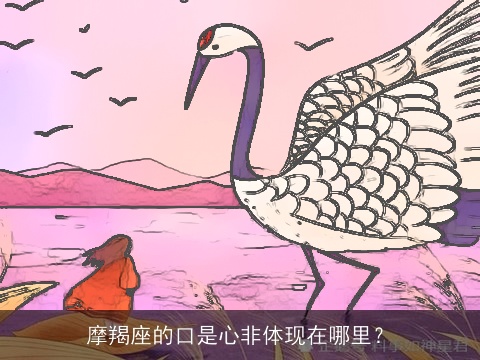 摩羯座的口是心非体现在哪里？