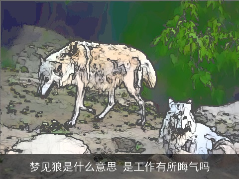 梦见狼是什么意思 是工作有所晦气吗