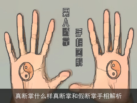 真断掌什么样真断掌和假断掌手相解析
