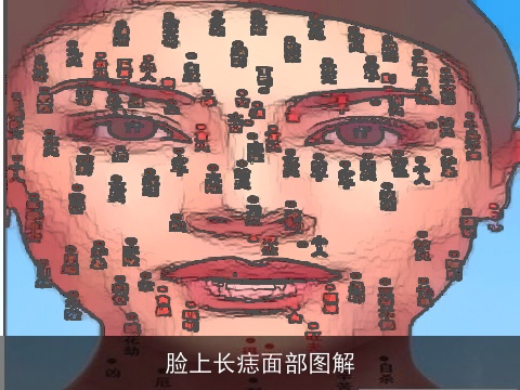 脸上长痣面部图解
