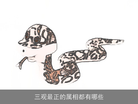 三观最正的属相都有哪些